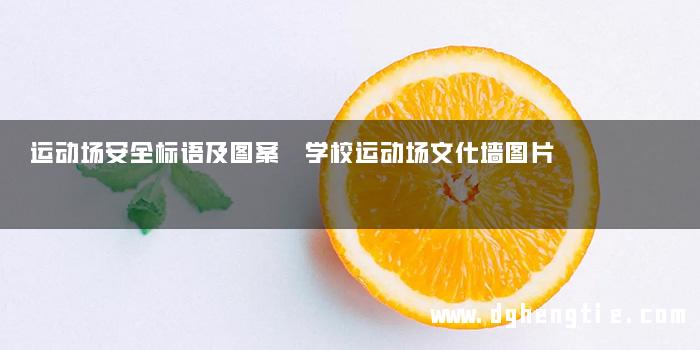运动场安全标语及图案 学校运动场文化墙图片